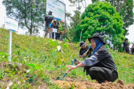 Perjuangan Kelompok Tani Bogor Pulihkan Bekas Tambang Bersama BRI Menanam-Grow & Green Foto BeritaJatim.com