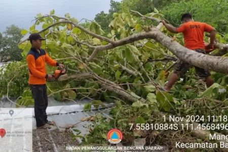 Dampak Cuaca Ekstrem Magetan, Ini Daftarnya