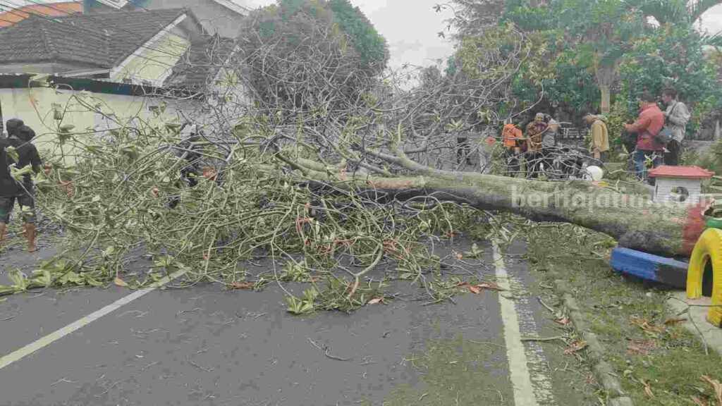 10 Titik di Kota Mojokerto Disapu Angin Kencang, 2 Pengendara Motor Terluka Foto BeritaJatim.com
