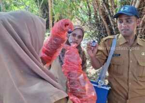 Upaya Pemkab Pamekasan Wujudkan Swasembada Daging Foto BeritaJatim.com