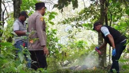 Petugas harus menyingkirkan lebah saat proses identifikasi berlangsung. [Foto : ist]
