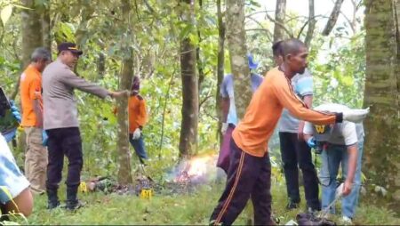  Petugas harus menyingkirkan lebah saat proses identifikasi berlangsung. [Foto : ist]