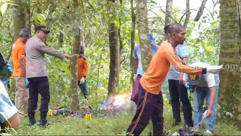  Petugas harus menyingkirkan lebah saat proses identifikasi berlangsung. [Foto : ist]