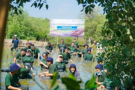 Lestarikan Lingkungan, SIER Tanam 5.000 Bibit Mangrove di KRM Surabaya Foto BeritaJatim.com