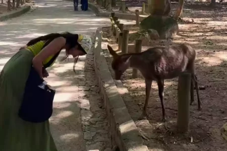 Viral Turis India Terejut, Rusa di Taman Nara Pun Sopan Tundukkan Kepala Foto BeritaJatim.com