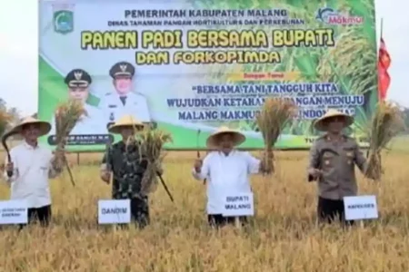 Surplus Padi 80 Ton, Kabupaten Malang Jadi Basis Ketahanan Pangan Nasional