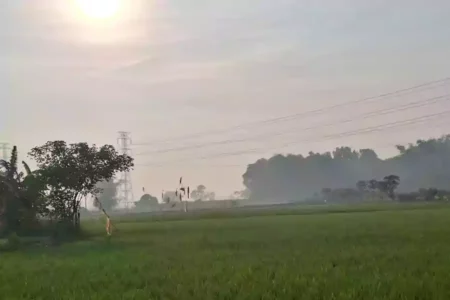 Sumbang Pangan Jatim, Kabupaten Mojokerto Surplus Padi dan Jagung