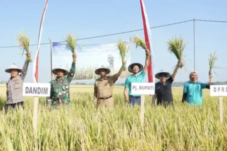 Pertanian Kabupaten Madiun Simpan Potensi Besar foto beritajatim