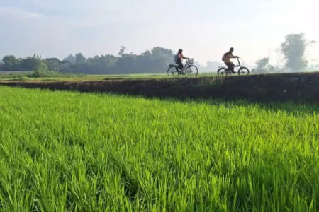 foto beritajatim