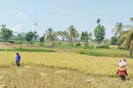 foto beritajatim