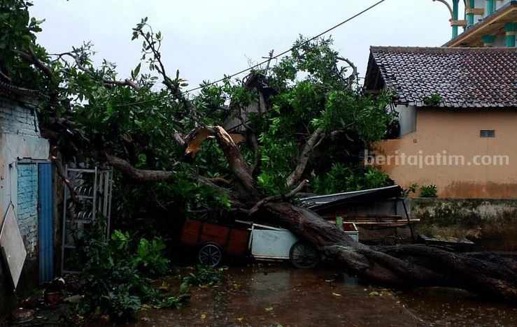Foto BeritaJatim.com