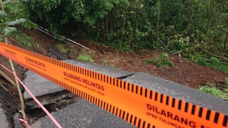 Hujan Deras, Jalan di Karangrejo Tulungagung Longsor Foto BeritaJatim.com