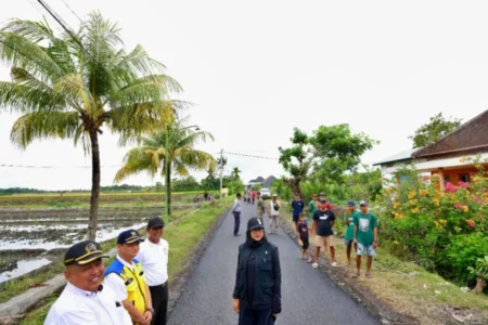 Bupati Ipuk Sebut Pembangunan Jalan Tetap Jadi Program Prioritas di Banyuwangi 2025 Foto BeritaJatim.com
