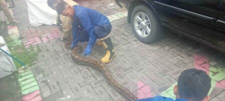 Foto BeritaJatim.com