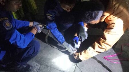 Intai Dapur, Ular Kobra Sepanjang 1 Meter Gegerkan Warga Gresik Foto BeritaJatim.com