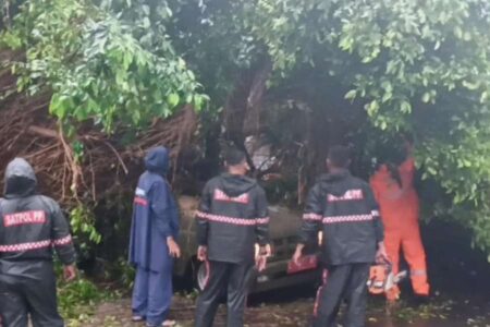 Mobil Satpol PP Tertimpa Pohon Beringin di Surabaya, Sempat Dikira Gempa Foto BeritaJatim.com