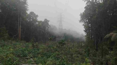 Kawasan Hulu Ditebang, Potensi Bencana Hantui Banyuwangi Foto BeritaJatim.com