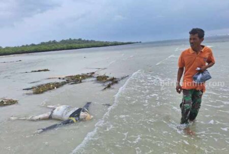 Mayat Laki-laki Ditemukan di Pinggir Pantai Pulau Kangean Sumenep Foto BeritaJatim.com