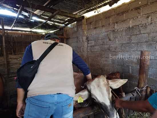 Foto BeritaJatim.com