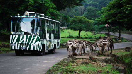 5 Destinasi Wisata untuk Liburan Nataru di Jatim, Nomor 2 Punya Panorama Magis! Foto BeritaJatim.com