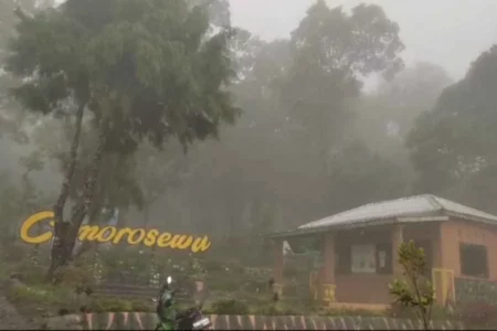 Cuaca Ekstrem, Jalur Pendakian Gunung Lawu via Cemoro Sewu Ditutup Foto BeritaJatim.com