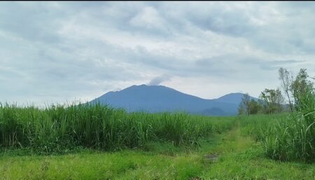 Bandara Banyuwangi Cek Paper Test Pasca Gunung Raung Erupsi Foto BeritaJatim.com