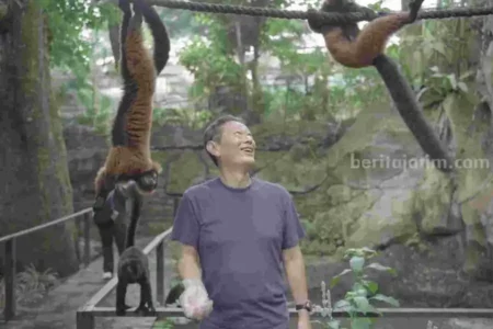 Batu Secret Zoo Resmikan Exhibit Red Panda, Komitmen pada Konservasi Foto BeritaJatim.com