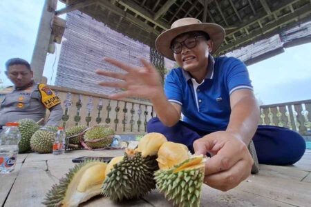 Mantan Anggota DPRD Jatim Raup Cuan dari Republik Durian Farm Blitar Foto BeritaJatim.com