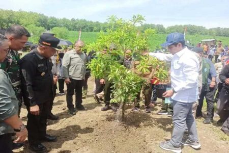 Banjir Ponorogo, Menteri LH Hanif Dorong Rehabilitasi Ekosistem dan Penanaman 10.000 Pohon Foto BeritaJatim.com
