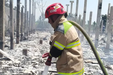 Kandang Ayam di Blitar Terbakar, Kerugian Capai Rp250 Juta Foto BeritaJatim.com
