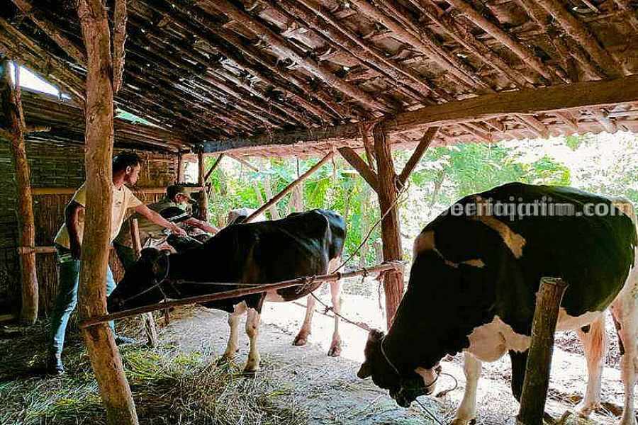 Foto BeritaJatim.com