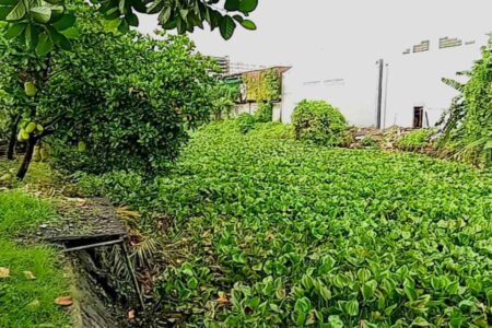 Perum Potjan Kebanjiran, Warga Tuding Pemerintah Saling Lempar Tanggung Jawab Foto BeritaJatim.com