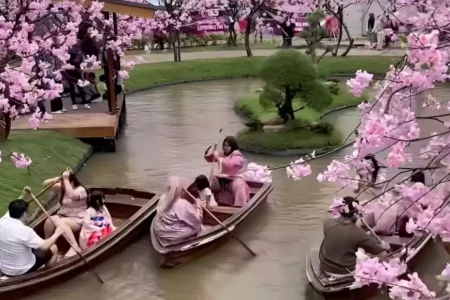 Baru! Tempat Wisata di Pasuruan Ini Suguhkan Suasana Ala Negeri Sakura Foto BeritaJatim.com