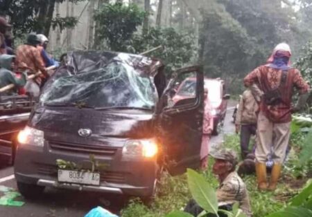 Pikap Kecelakaan di Jalur Ijen Bondowoso, Muat Buruh Perkebunan Foto BeritaJatim.com