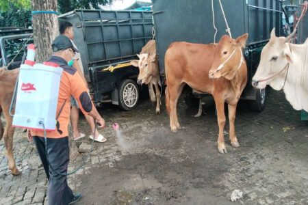 Kasus PMK Mengganas, Pemkab Pasuruan Tutup Pasar Hewan Foto BeritaJatim.com