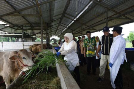 Foto BeritaJatim.com