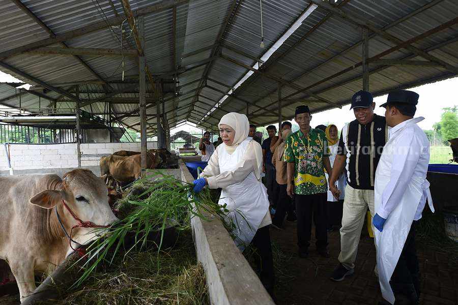 Foto BeritaJatim.com