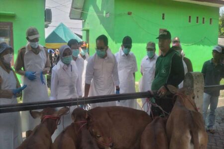Pj Gubernur Jatim Kunjungi Pasar Sapi Probolinggo untuk Pantau Kasus PMK Foto BeritaJatim.com