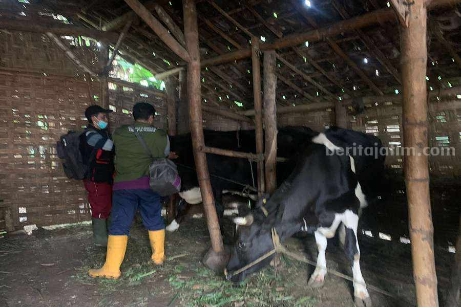 Foto BeritaJatim.com
