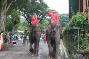 Taman Safari Prigen Pecah Rekor, Lebih dari 20.000 Pengunjung Padati Lokasi Foto BeritaJatim.com