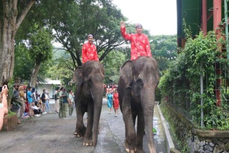 Taman Safari Prigen Pecah Rekor, Lebih dari 20.000 Pengunjung Padati Lokasi Foto BeritaJatim.com