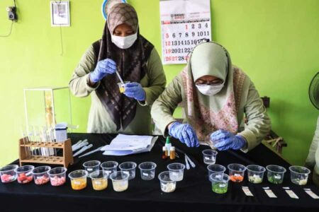 DKPP Kota Kediri Temukan Sayuran Mengandung Pestisida Foto BeritaJatim.com