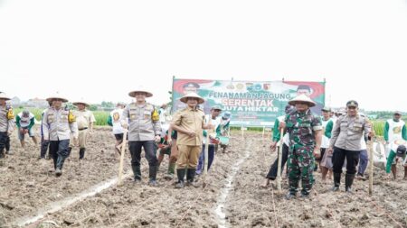 Dukung Ketahanan Pangan, Polres dan Pemkab Lamongan Targetkan 56 Hektare Lahan Jagung Foto BeritaJatim.com