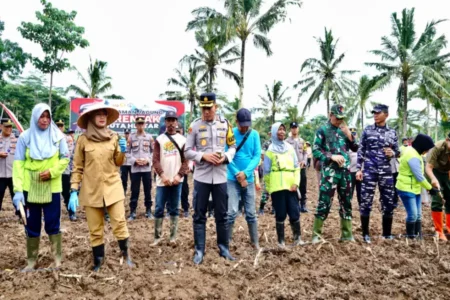 Banyuwangi Dukung Program Penanaman 1 Juta Hektare Jagung, Siapkan 650 Hektare Lahan Foto BeritaJatim.com