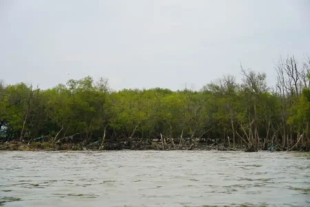 Begini Asal Usul dan Penampakan HGB di Atas Laut Sidoarjo Foto BeritaJatim.com