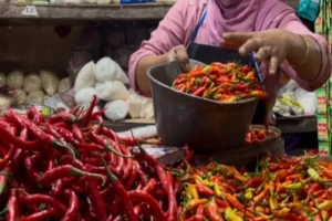 Harga Cabai di Kota Malang Semakin Pedas Foto BeritaJatim.com