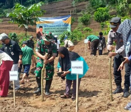 Kementarian Pertanian Targetkan Tanam Padi Gogo di Jatim Seluas 52 Ribu Hektar Foto BeritaJatim.com