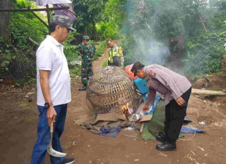 Polsek Trowulan Mojokerto Bongkar Arena Judi Sabung Ayam Foto BeritaJatim.com