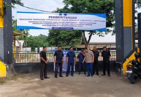 PMK di Lamongan Sentuh Seribu Kasus, Seluruh Pasar Hewan Ditutup Foto BeritaJatim.com