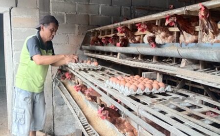 Foto BeritaJatim.com